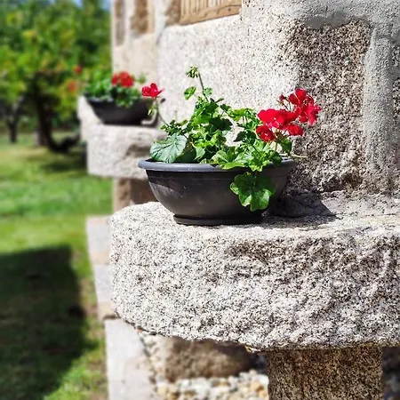 Casa vacanze Casa D'amado *