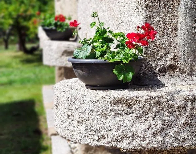 Дом отдыха Casa D'amado *